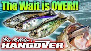 The Hangover Swimbait is FINALLY Here!! (Underwater Swim Footage, Best Rod/Reel/Line & Inspirations)