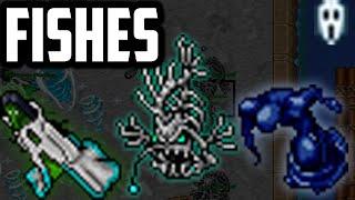 EBB AND FLOW HUNT (FISHES) 4 VOCATION - BEST respawn in TIBIA?