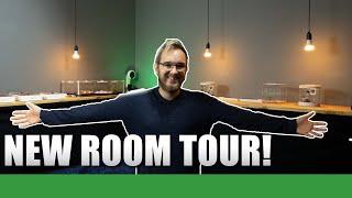 NEW ANT ROOM TOUR!  | Ant Holleufer