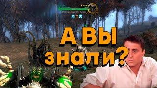 Секреты Guild Wars 2! (часть 1)