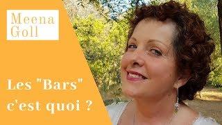 C'est quoi les "Bars" ?  par Meena Goll Compagnon - Access Bars ®