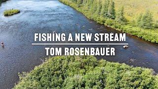 Tom's Tips - Fishing a New Stream