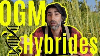 OGM et HYBRIDES F1: mêmes FIRMES même Propagande ?!