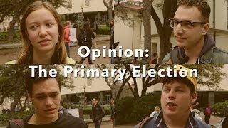 Opinion: The Primary Election