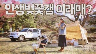 [벚꽃캠핑] 너무비싸 궁금해서 가본 인생 벚꽃캠핑장 ㅣ서울근교 봄캠핑 ㅣ패밀리캠핑장ㅣ갬성캠핑 ㅣ아이와캠핑 ㅣ캠핑요리