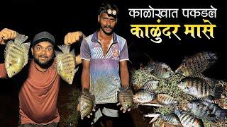 काळोखात पकडले "काळुंदर" मासे | खाडीतली पारंपरिक मासेमारी | Pearspot Fish Catching