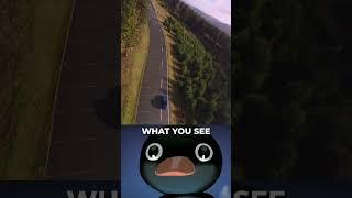 THIS IS WHAT FPV PILOTS SEE  (ft@camicees @Antik-media )