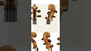 The 'Golden Bell' Early Stradivarius from c. 1668
