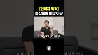 농부도 모르는 농산물 가격의 비밀