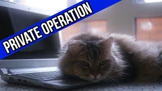 3CB ArmA 3: Cat-Tastrophe