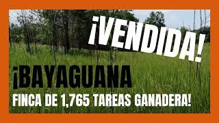 Finca de 1765 tareas Con vocación Agrícola y Ganadera Bayaguana