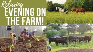 RELAXING Summer Evening on the Farm || Missouri Farm Life