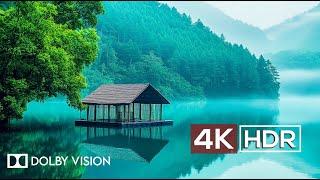 Experience Pure Calmness in 4K HDR at 60 FPS with Dolby Vision (2024)