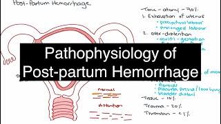 Pathophysiology of Postpartum Hemorrhage