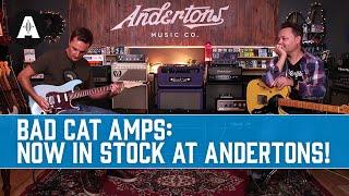 Bad Cat Amplifiers - Handmade, Boutique, Premium Amps from the USA! Now in Stock at Andertons