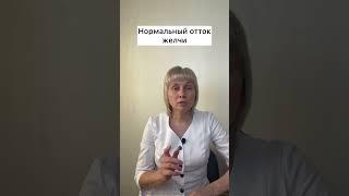 Витамины для похудения Доктор Лисенкова #shorts