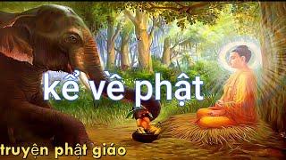 11 Câu Chuyện Cổ Phật Giáo Nghe Mỗi Đêm