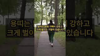 [용띠운세] 용띠 2025년 하반기 재물궁합 “놓치면 후회! 2025년 하반기 용띠 재물운 대폭발 예고”