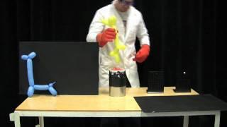 MIT Physics Demo -- Balloons in Liquid Nitrogen