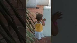 Little Baby | Happy Terrace Walking #Shorts