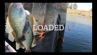 This TINY URBAN Lake is LOADED with SLAB CRAPPIE! Limited Out in my KAYAK!