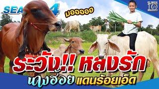 SUPER10 ระวัง!! หลงรัก น้องโอปอล์ นางฮ้อยแดนร้อยเอ็ด SEASON4