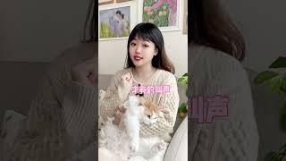猫咪叫声大揭学会就能与主子无障碍对话了#猫咪#新手养猫#冷知识#养猫人#猫语十级