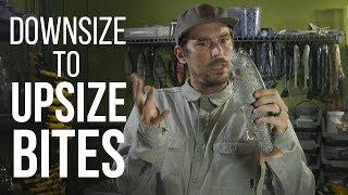 Theories in Swimbaiting: Downsize to Upsize Bites from Giant Bass