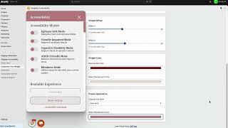 How to Use the ADA WCAG Accessibility Widget | Boost Shopify Store Accessibility in Minutes!