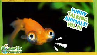 Funny Talking Animals: the Call of the Wild - Vol.3