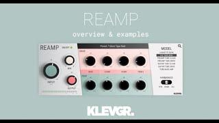 REAMP Overview