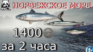 НОРВЕЖСКОЕ МОРЕФАРМ НА МЕЛКОЙ РЫБЕРусская Рыбалка 4(РР4)