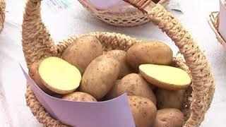 «Сельский порядок»  Успехи gbnjvyb7 10 2015