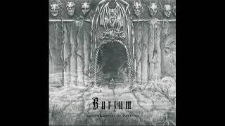 Burzum- From the Depths of Darkness (Album 2011)