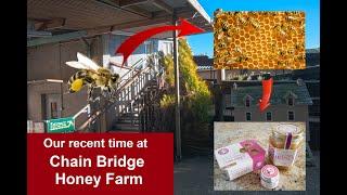 Chain Bridge Honey Farm