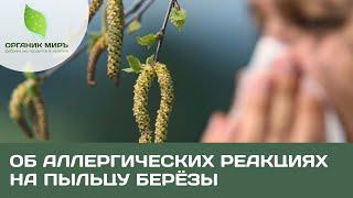 Аллергия на пыльцу березы. Аллергические реакции. Взгляд медицины на поллиноз - органикМИРЪ