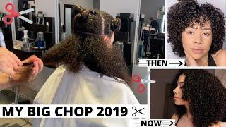 My Big Chop In 2019 | My Story, The Experience, My Thoughts, & The Growth!