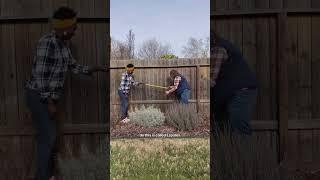 3 creative ways we add fruit trees to our urban backyard ⬇️ #gardener #gardening  #gardeningtips
