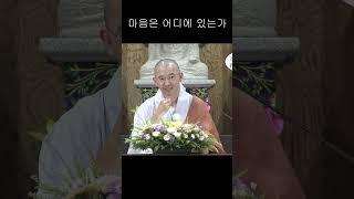 마음은 어디에 있는가 #안심 #자비도량참법 #원빈스님 #명언 #인생조언 #법문 #행복  #격언  #지혜