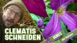 Wie und wann schneidet man spätblühende Clematis zurück? | James der Gärtner