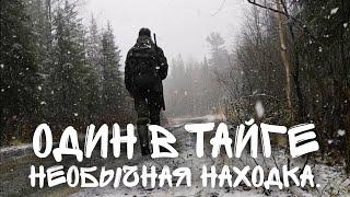 НЕОБЫЧНАЯ НАХОДКА В ТАЙГЕ. ОДИНОЧНЫЙ ПОХОД. ХОДОВАЯ ОХОТА РЯБЧИКА.Беспредел в тайге