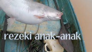 rezeki patin kayangan naik lagi