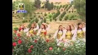 Dil Mai Nytham Ami Chani || Kashmirir Song || Suroor ll Shahzad Aasim