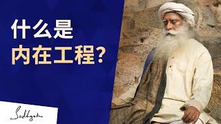 内在工程：一门可以转化你生命的冥想课程 | Sadhguru 萨古鲁