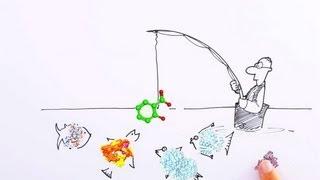 Drawn to Science: Target identification in drug discovery