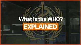 What is the World Health Organization?