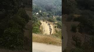 노련한 개 훈련사와 서부의 정경 !(A seasoned dog trainer and a western landscape !)
