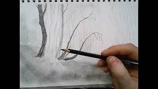 Misty Woodland in Pencil