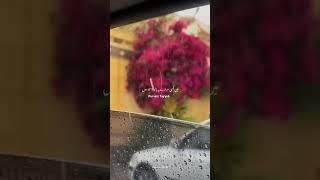 Saqib Raza Mustafai Status || Ajmal Raza Qadri status || #short