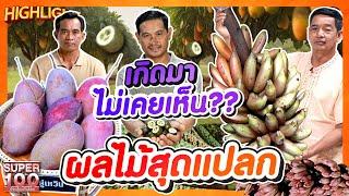 ผลไม้ที่โลกไม่เคยรู้จัก ประเทศไทยมีผลไม้แบบนี้ด้วยเหรอ ??  HIGHLIGHT | SUPER100